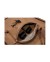 FUNDA FUSIL SPECNA ARMS 98CM TAN