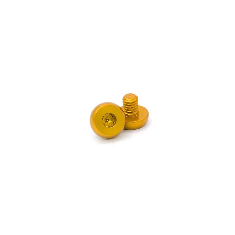AIP ALUMINUM GRIP SCREWS PARA HI-CAPA