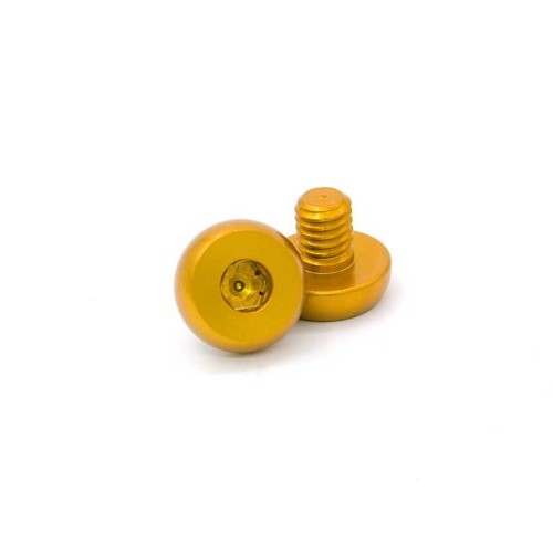 AIP ALUMINUM GRIP SCREWS PARA HI-CAPA