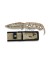 CUCHILLO ALBAINOX ENCORDADO APALACHE PIX