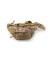 RIÑONERA MOLLE VELCROS GRANDE MULTICAM