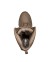 BOTA CORSO BANDIT 6 COYOTE