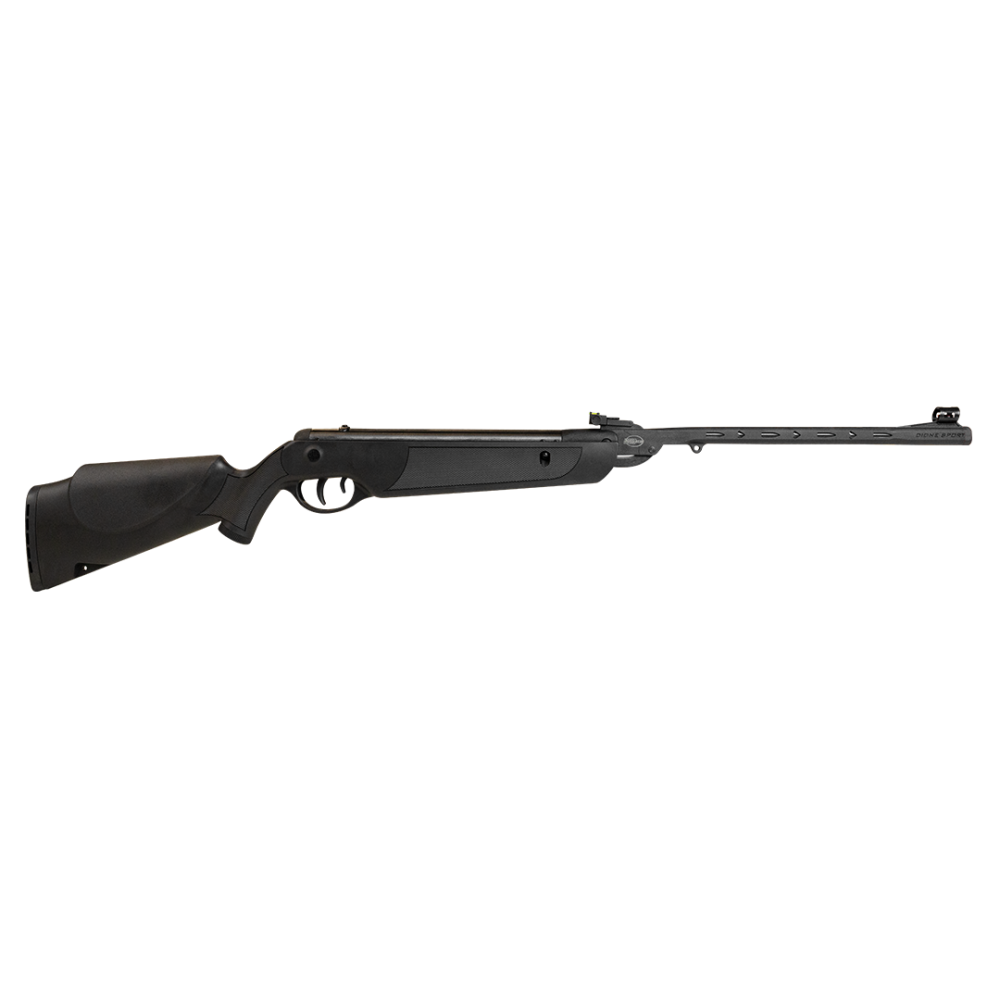 Airgun ROSSI DIONE SPORT 5.5MM