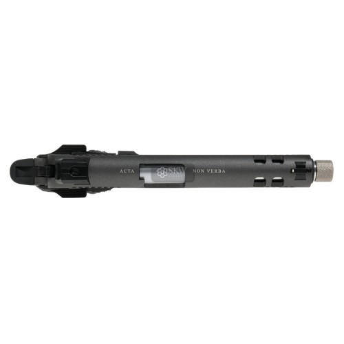 PISTOLA CO2 BLOW BACK RUDIS II ACTA NON VERBA STONE SECUTOR ARMS