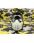 MASCARA PUSH FLX CAMO CLEAR