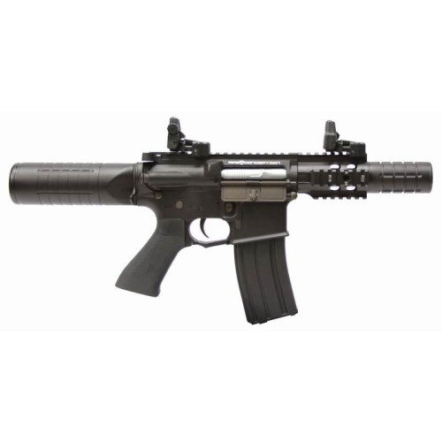 FUSIL APS MINI PATRIOT STYLE ASR406